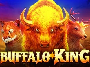 Buffalo King game cover